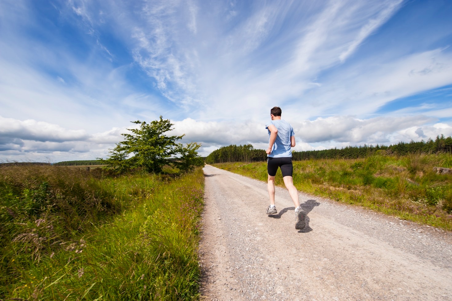 How to Build a Sustainable Wellness Plan